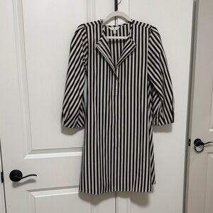 Banana Republic Black and White Bishop Sleeve Dress